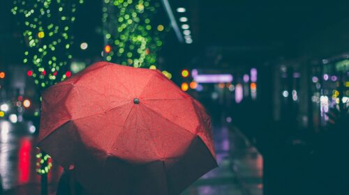 Umbrella